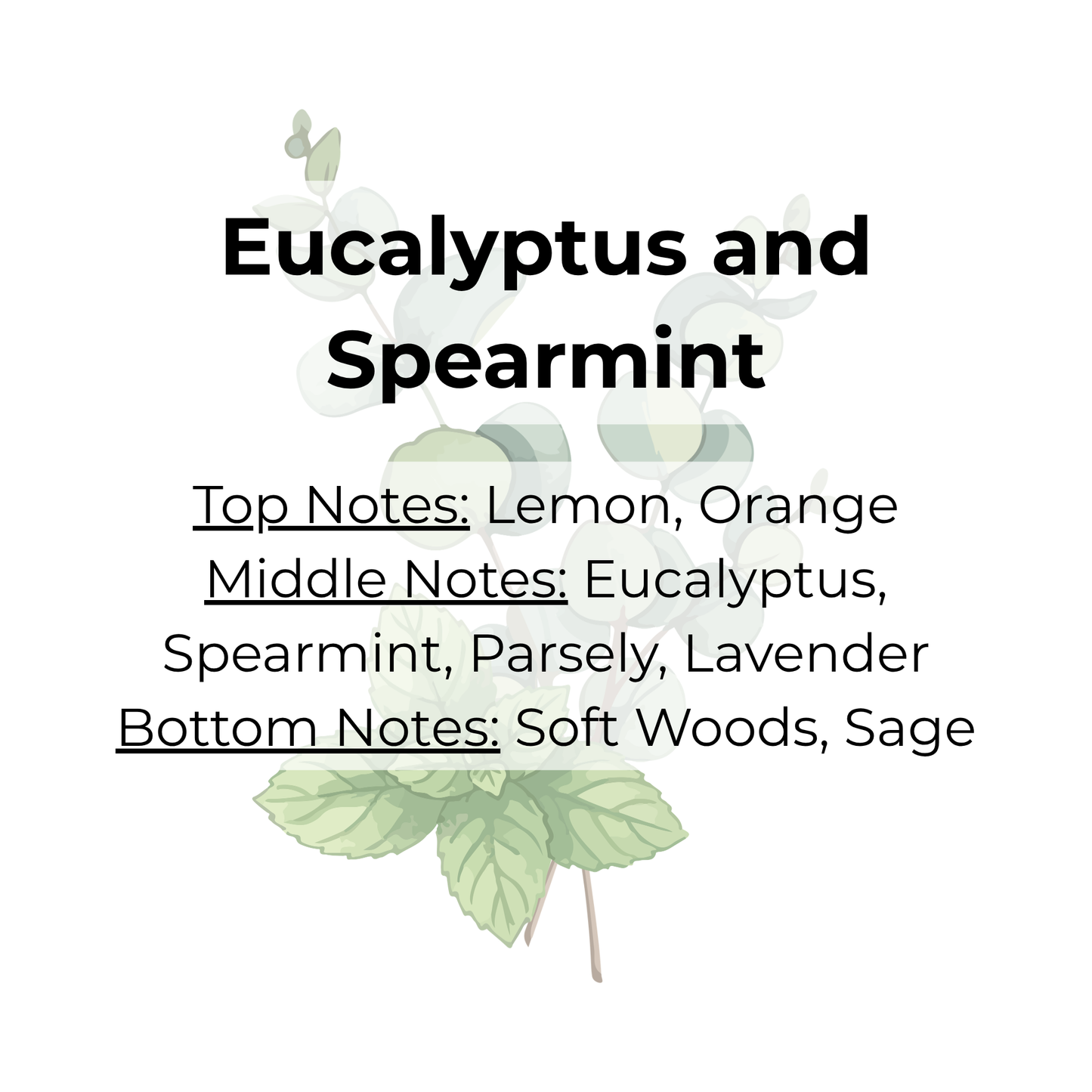 Cuticle Oil