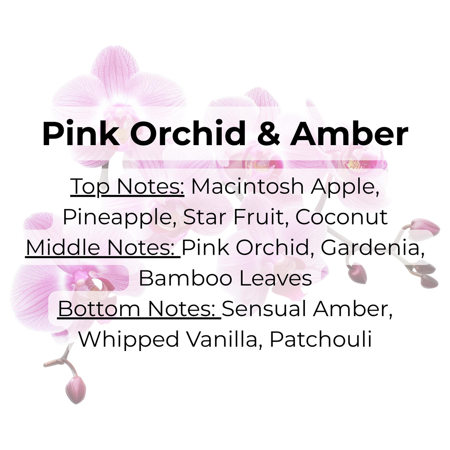 Cuticle Oil