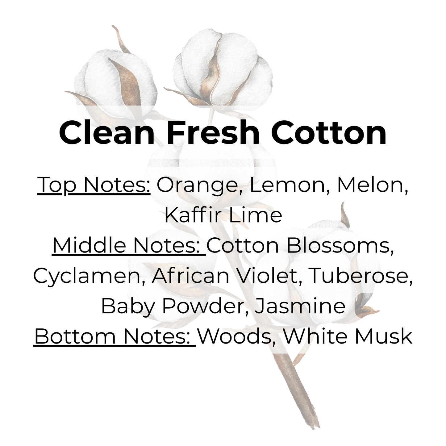 Cuticle Oil