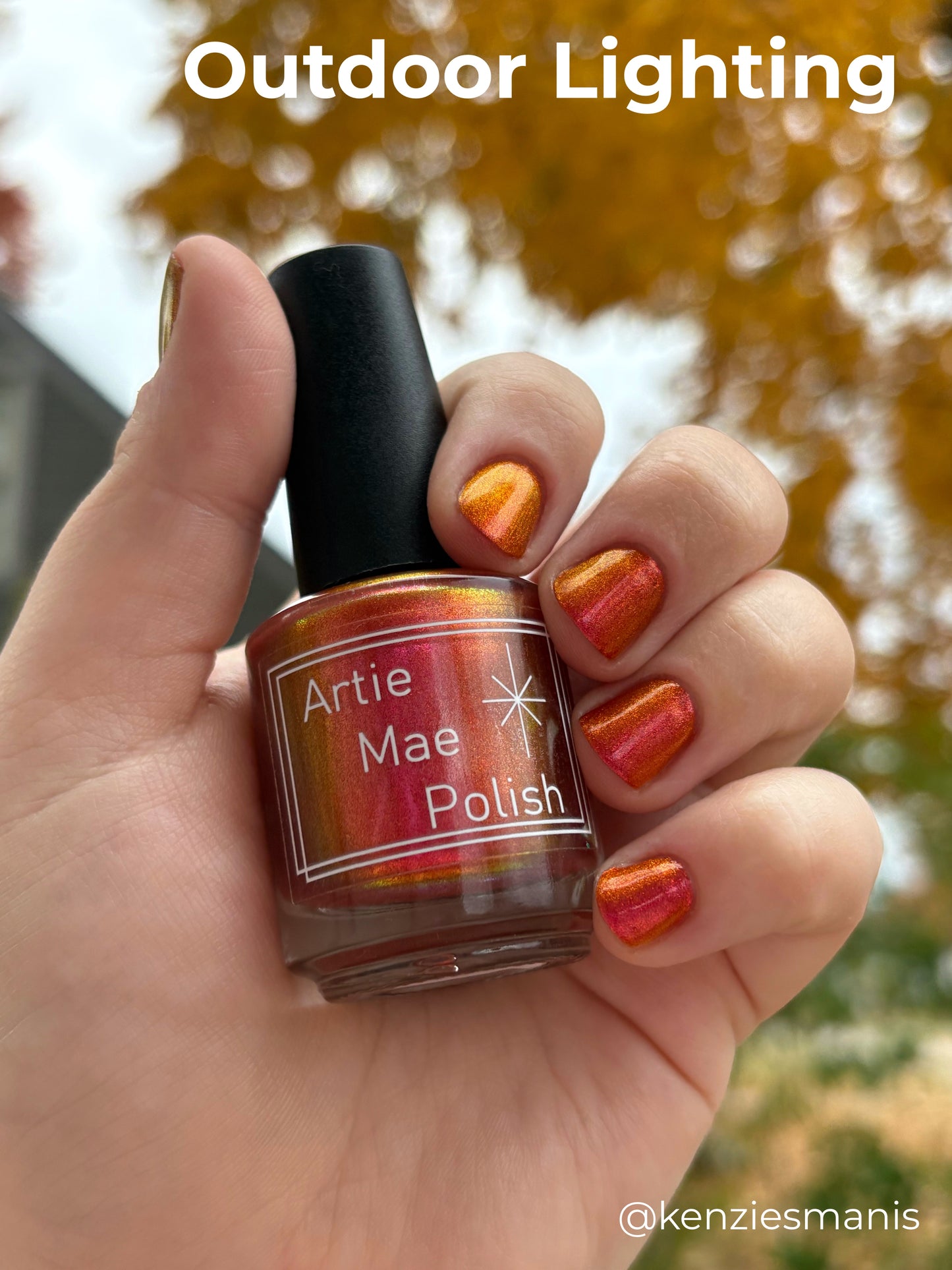 Fire Is So Delightful