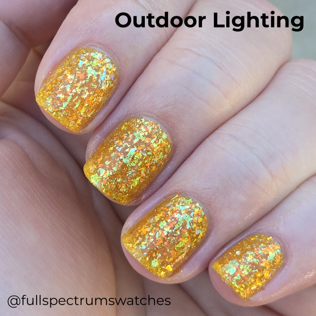 Devil's in the Details