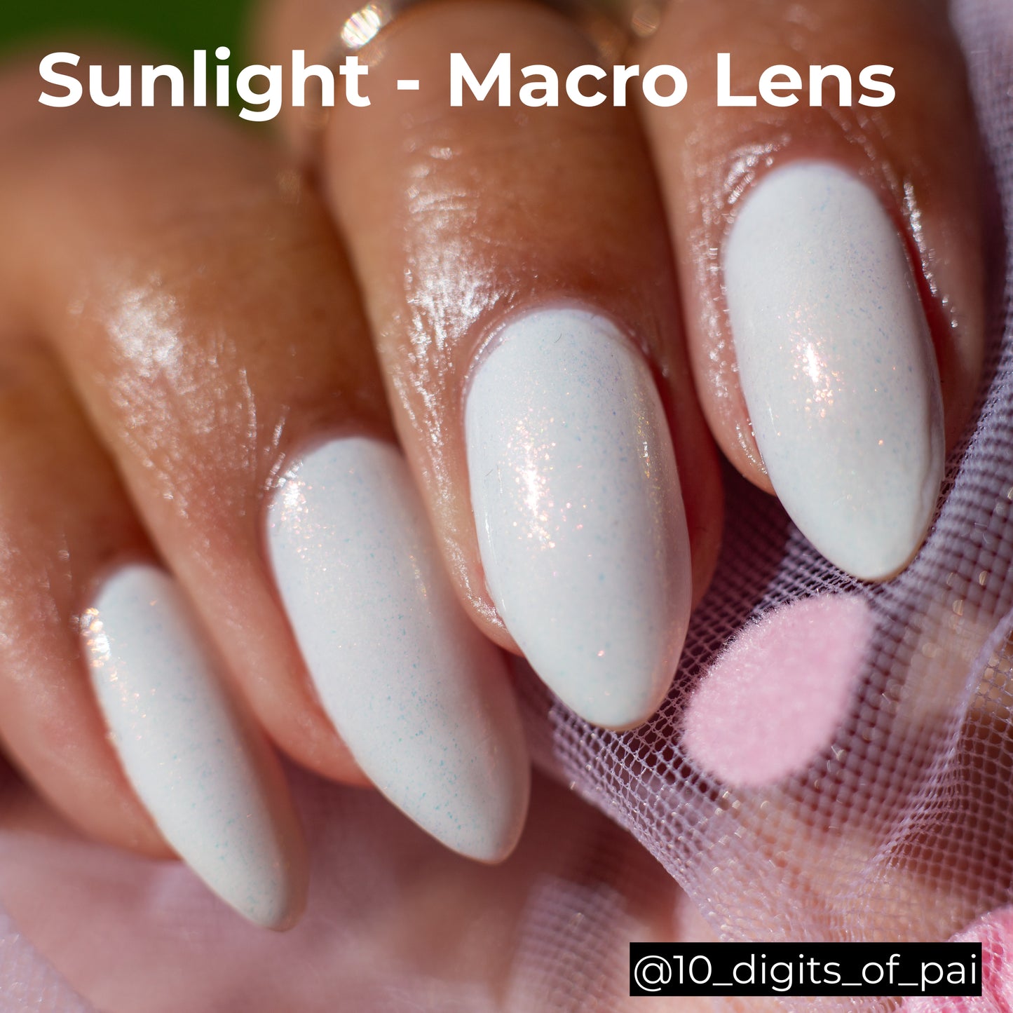 Nov. Collab Polish Duo